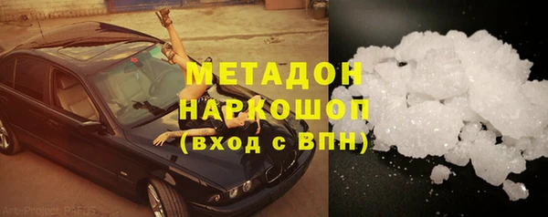 сатива Карпинск