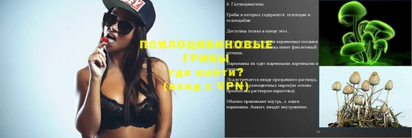 сатива Карпинск