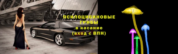 сатива Карпинск