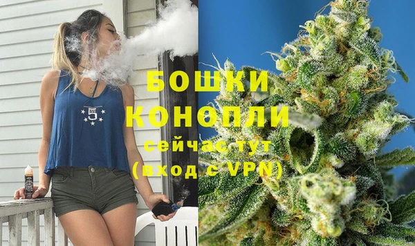 сатива Карпинск