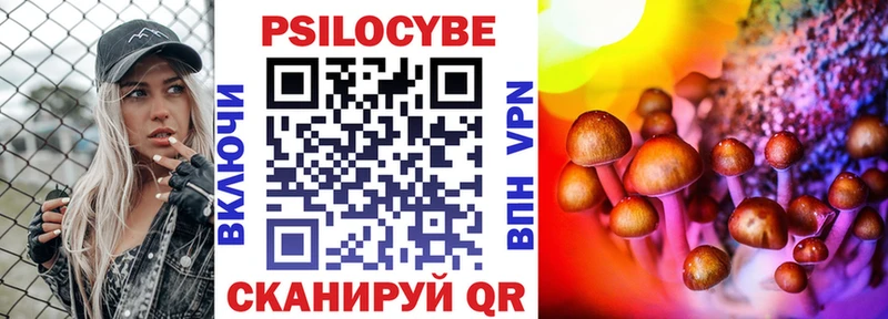 blacksprut   купить   Невинномысск  Галлюциногенные грибы Psilocybine cubensis 